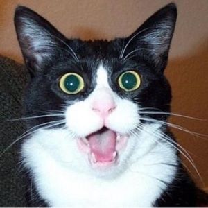 Meet your Posher, Althea